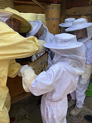 Bienenprojekt Uns Darßer Schaul - Honigwaben