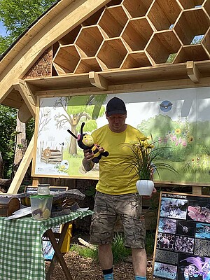 Bienenprojekt Uns Darßer Schaul - Wissenswertes